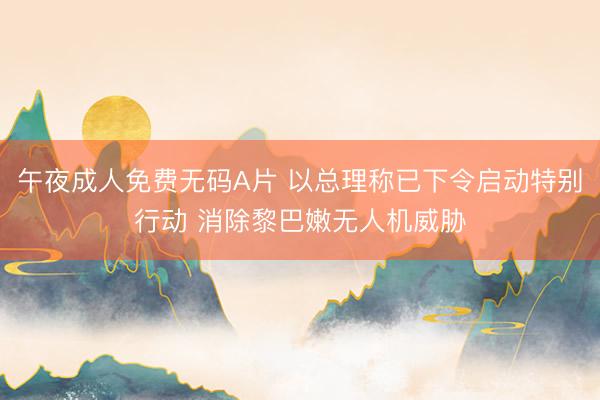 午夜成人免费无码A片 以总理称已下令启动特别行动 消除黎巴嫩无人机威胁