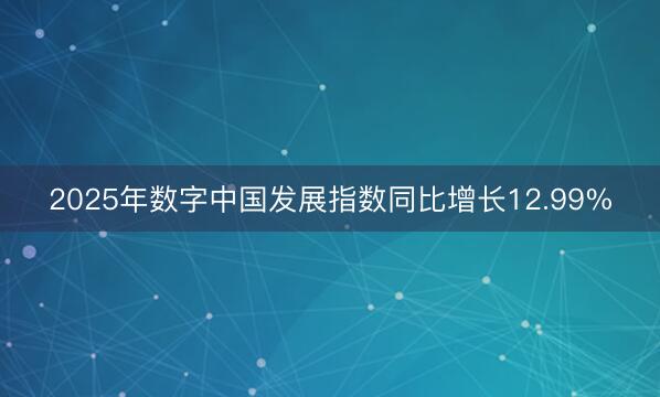 2025年数字中国发展指数同比增长12.99%