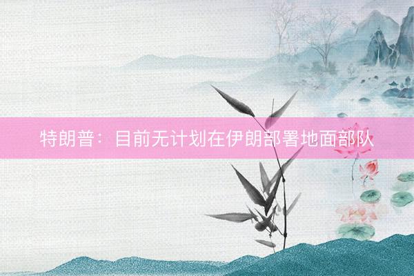 特朗普：目前无计划在伊朗部署地面部队