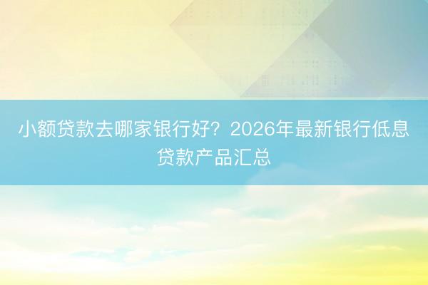 小额贷款去哪家银行好？2026年最新银行低息贷款产品汇总