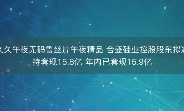 久久午夜无码鲁丝片午夜精品 合盛硅业控股股东拟减持套现15.8亿 年内已套现15.9亿