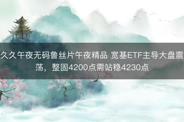久久午夜无码鲁丝片午夜精品 宽基ETF主导大盘震荡，整固4200点需站稳4230点