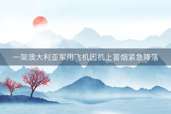 一架澳大利亚军用飞机因机上冒烟紧急降落