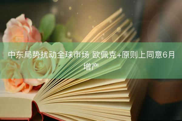中东局势扰动全球市场 欧佩克+原则上同意6月增产
