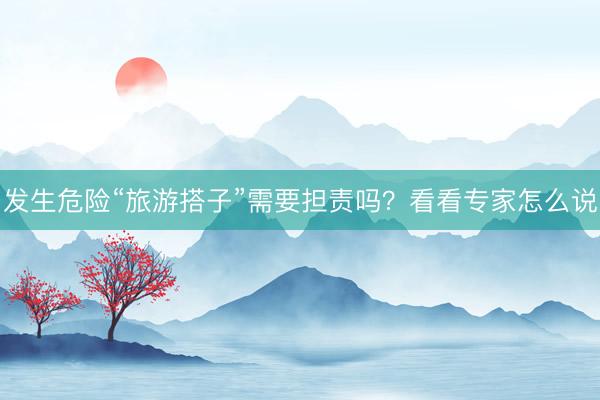 发生危险“旅游搭子”需要担责吗?看看专家怎么说