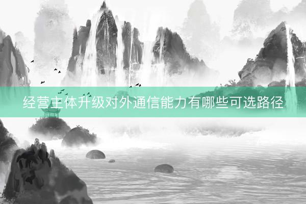 经营主体升级对外通信能力有哪些可选路径