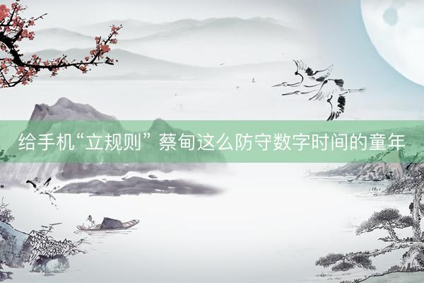 给手机“立规则” 蔡甸这么防守数字时间的童年
