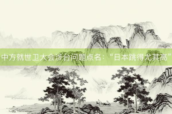 中方就世卫大会涉台问题点名：“日本跳得尤其高”