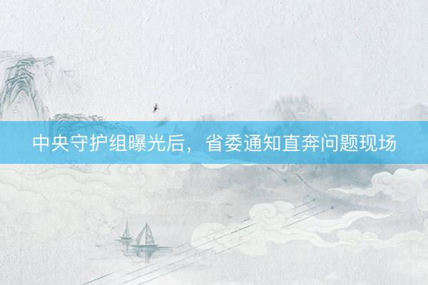中央守护组曝光后，省委通知直奔问题现场