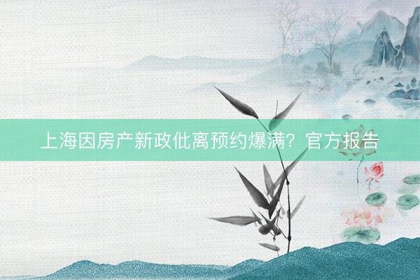 上海因房产新政仳离预约爆满？官方报告