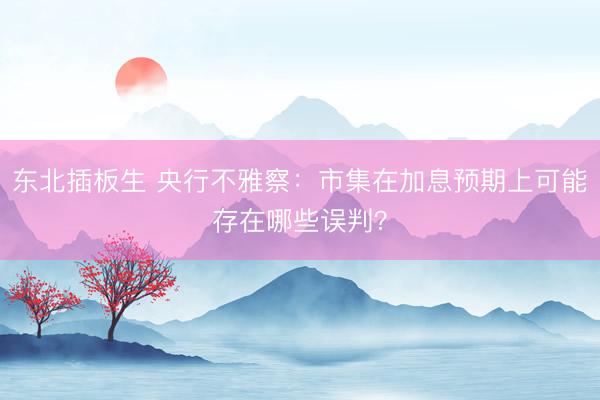 东北插板生 央行不雅察：市集在加息预期上可能存在哪些误判？