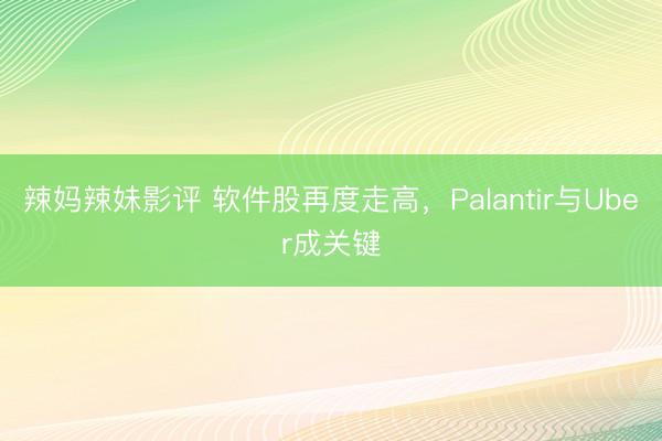 辣妈辣妹影评 软件股再度走高，Palantir与Uber成关键