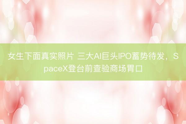 女生下面真实照片 三大AI巨头IPO蓄势待发，SpaceX登台前查验商场胃口