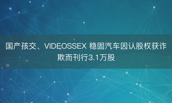 国产孩交、VIDEOSSEX 稳固汽车因认股权获诈欺而刊行3.1万股