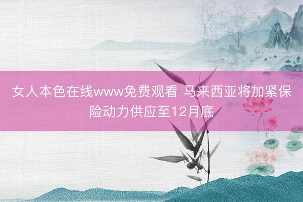 女人本色在线www免费观看 马来西亚将加紧保险动力供应至12月底