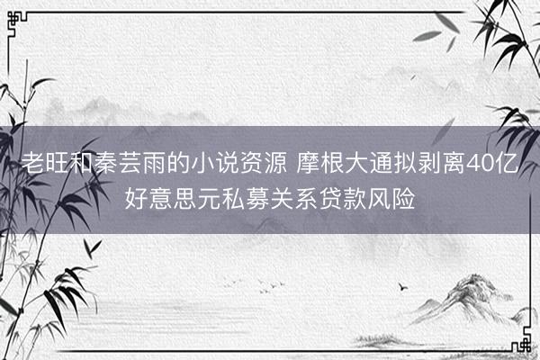 老旺和秦芸雨的小说资源 摩根大通拟剥离40亿好意思元私募关系贷款风险