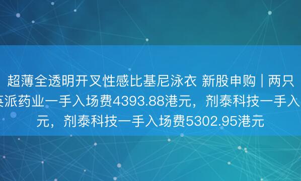 超薄全透明开叉性感比基尼泳衣 新股申购 | 两只新股今起招股！英派药业一手入场费4393.88港元，剂泰科技一手入场费5302.95港元