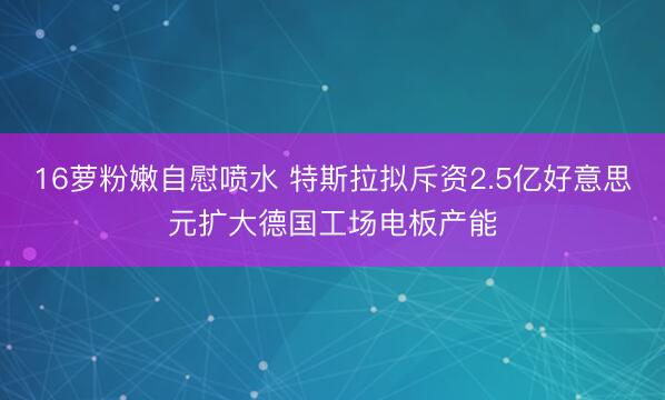 16萝粉嫩自慰喷水 特斯拉拟斥资2.5亿好意思元扩大德国工场电板产能