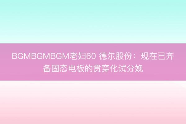 BGMBGMBGM老妇60 德尔股份:现在已齐备固态电板的贯穿化试分娩
