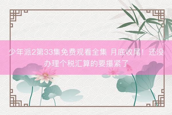 少年派2第33集免费观看全集 月底收尾！还没办理个税汇算的要攥紧了