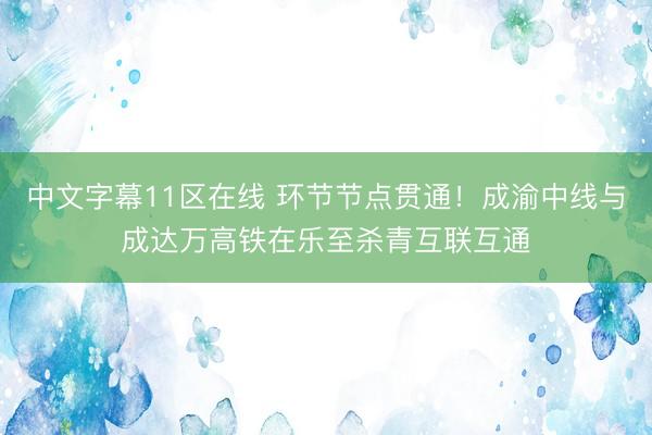 中文字幕11区在线 环节节点贯通！成渝中线与成达万高铁在乐至杀青互联互通