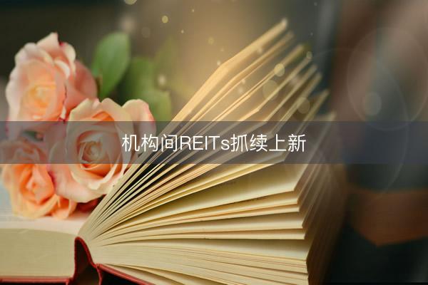 机构间REITs抓续上新