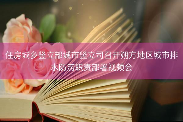 住房城乡竖立部城市竖立司召开朔方地区城市排水防涝职责部署视频会