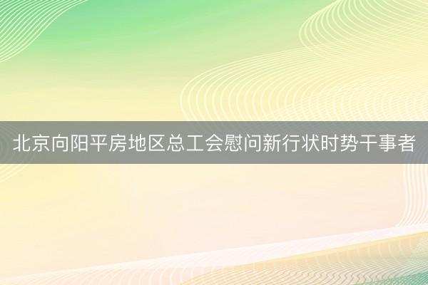 北京向阳平房地区总工会慰问新行状时势干事者