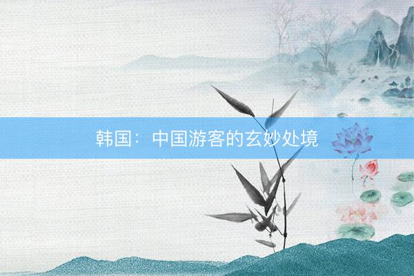 韩国:中国游客的玄妙处境